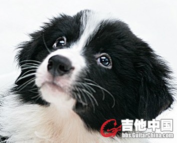 小诺.jpg