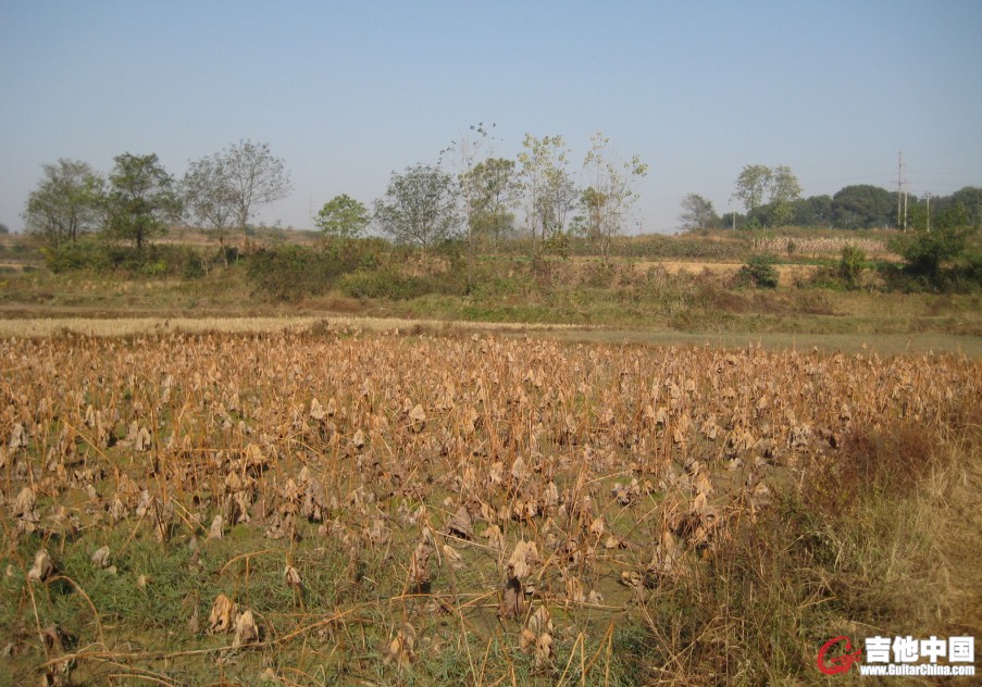 05.jpg