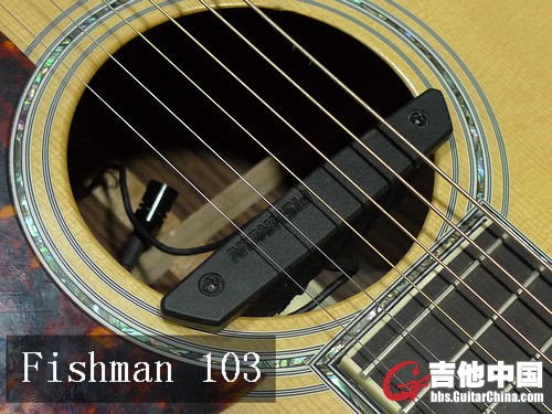 Fishman 103-1.JPG