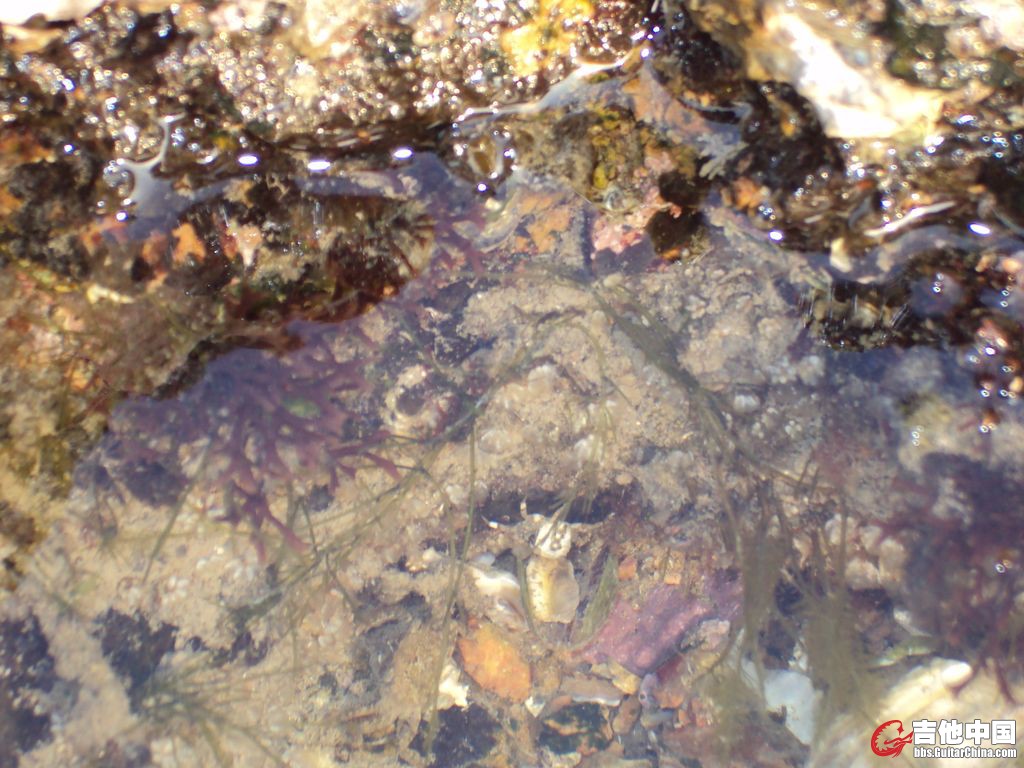 DSC00836.JPG