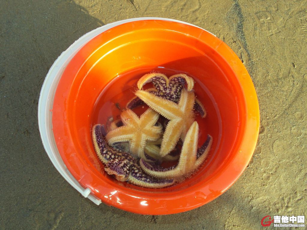 都是活的