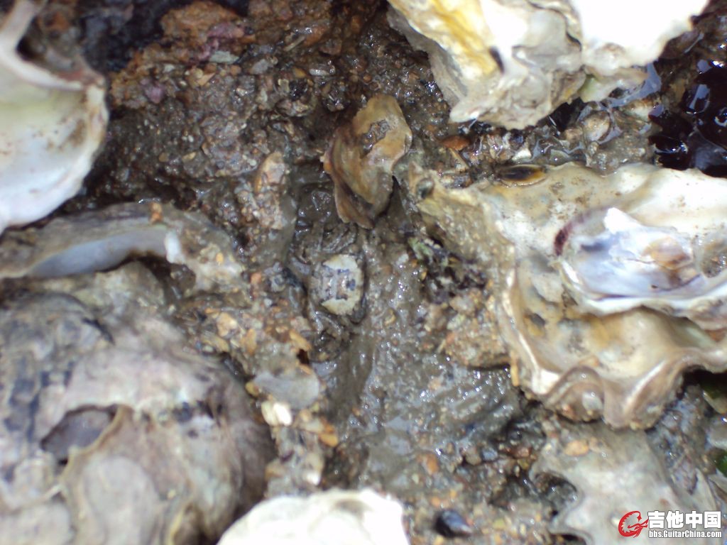 DSC00843.JPG