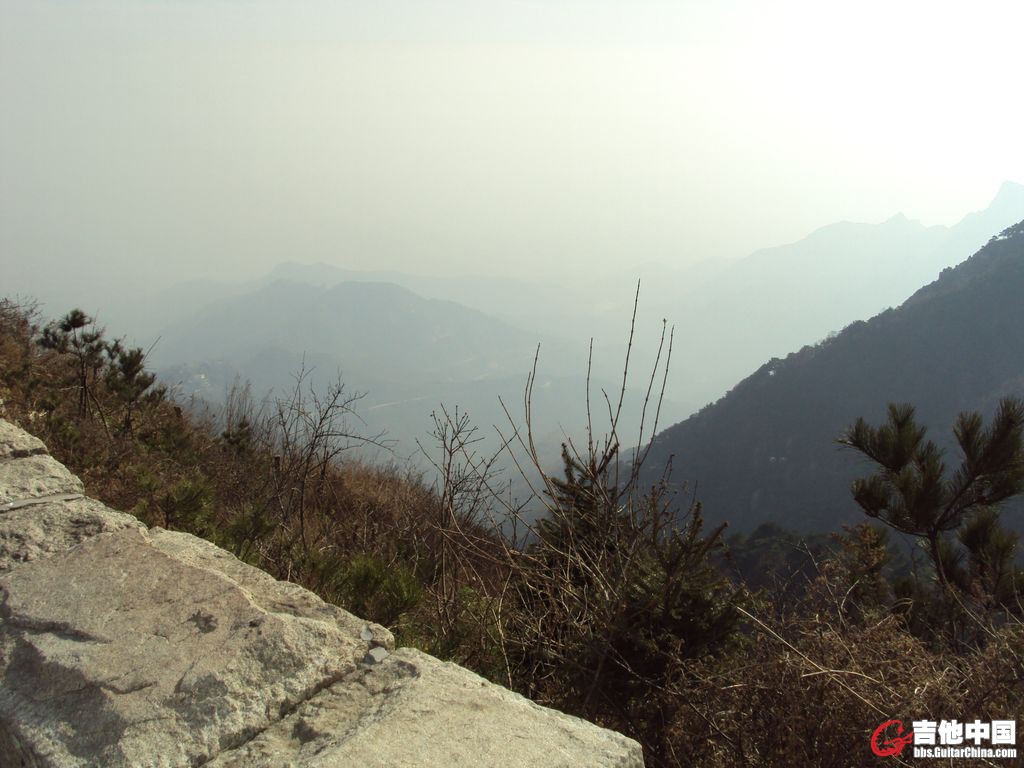 DSC00733.JPG