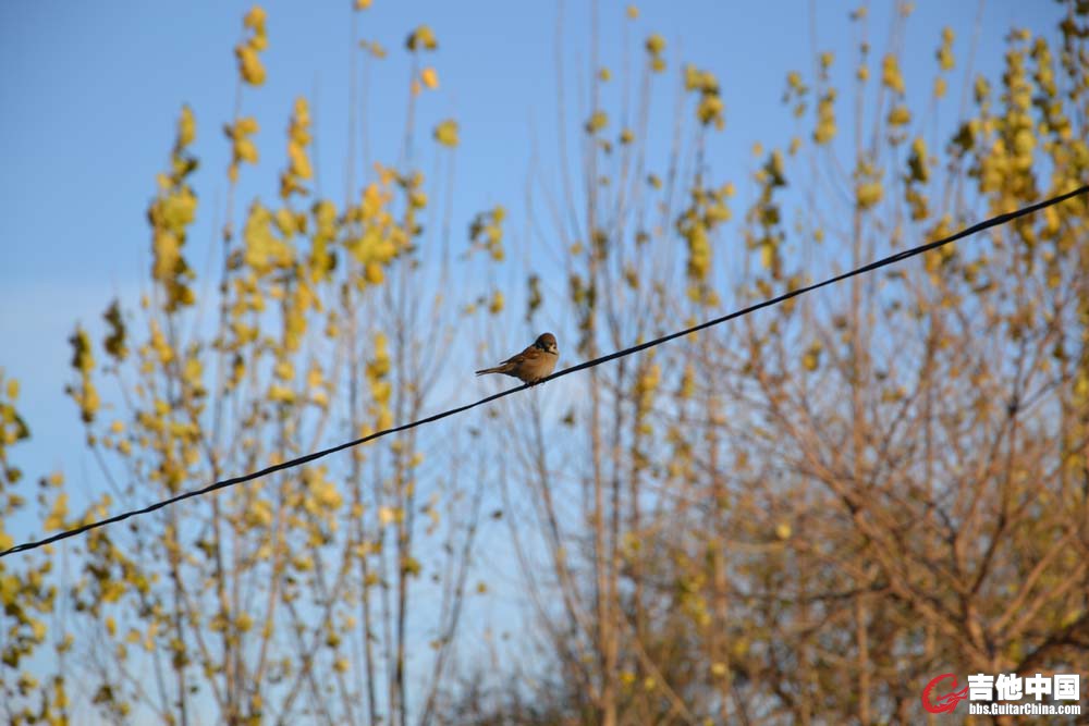 F7.1 1/200s iso100