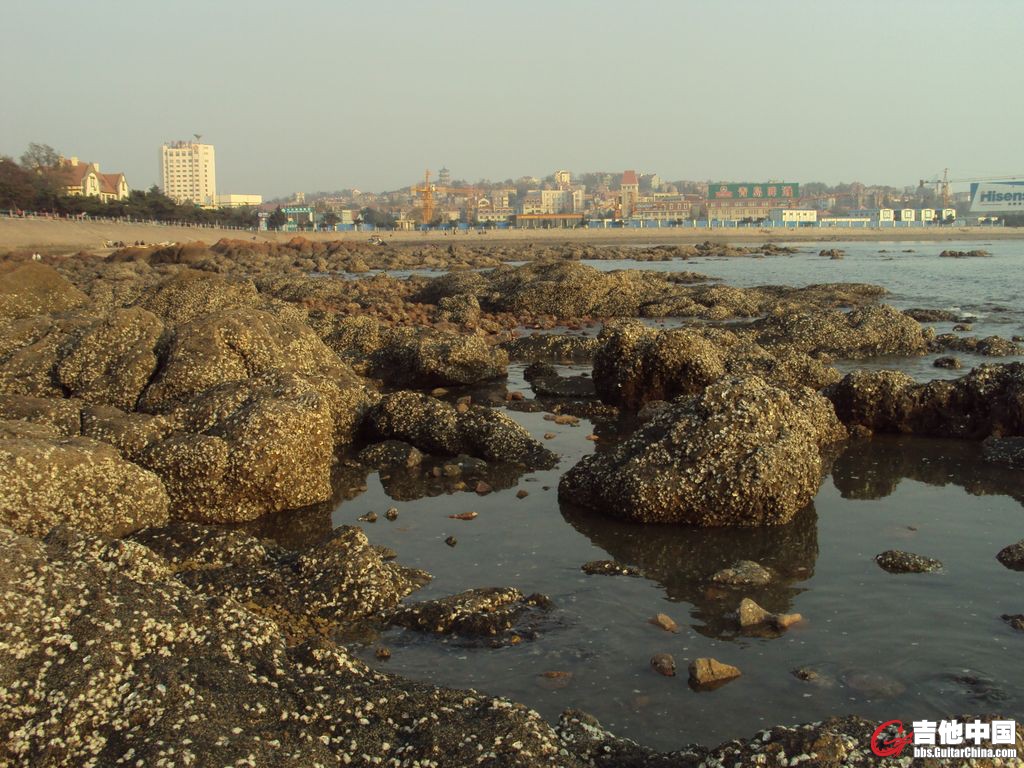 DSC00858.JPG