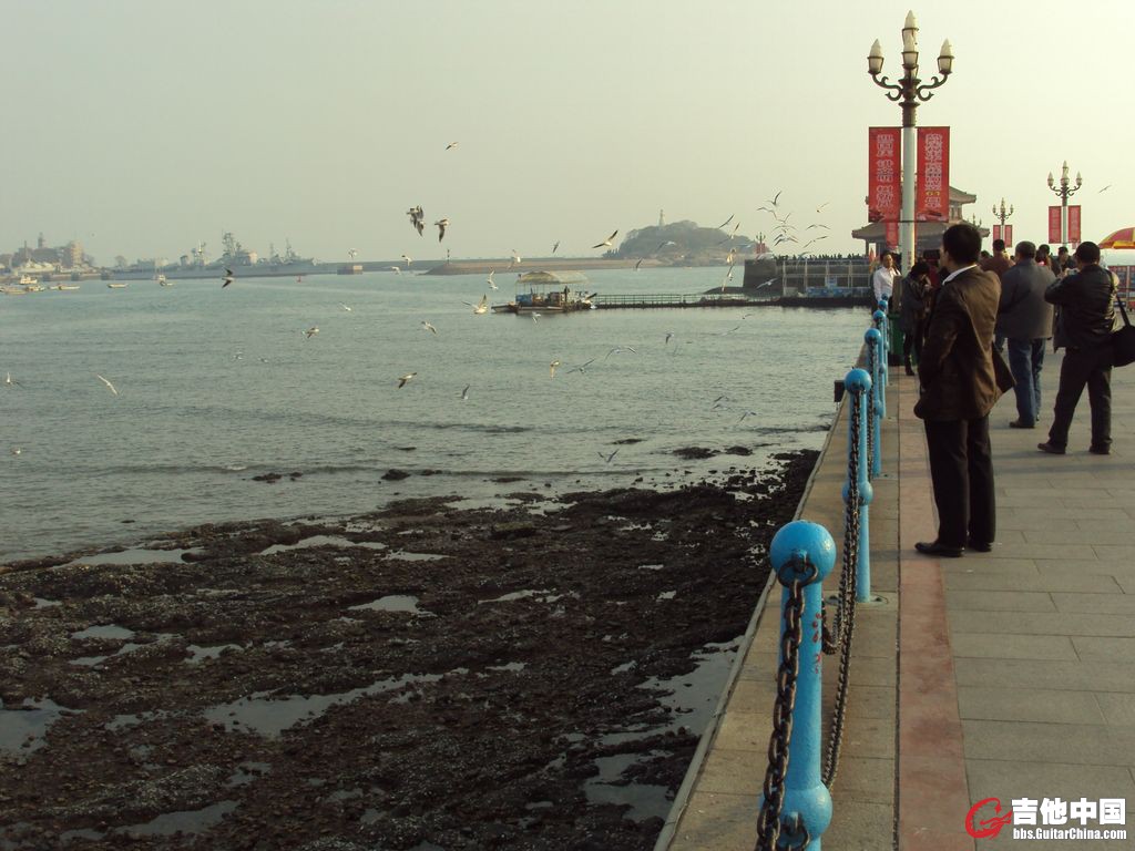 DSC00854.JPG