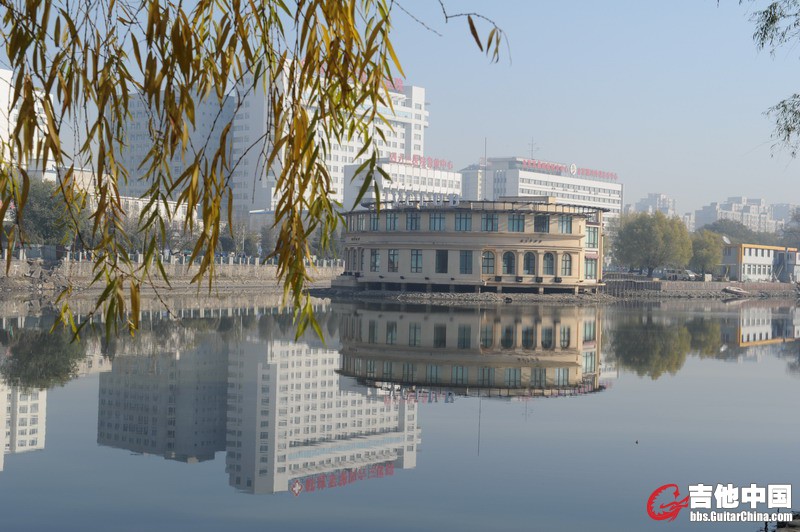 公园的一处小景
