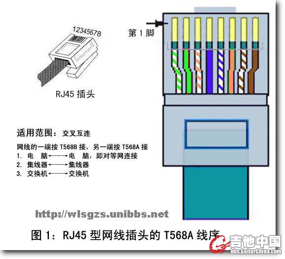 T568A.jpg