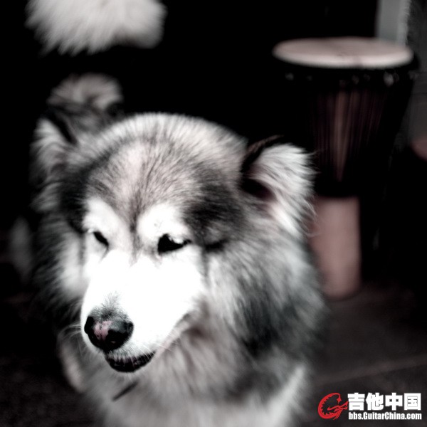 IMG_7243_调整大小.JPG