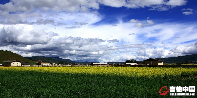 IMG_7431_调整大小.JPG