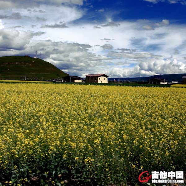 IMG_7428_调整大小.JPG