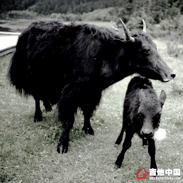 IMG_7462_调整大小.JPG