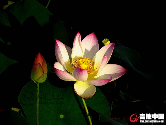 xin_0303051816067901623128[1].jpg