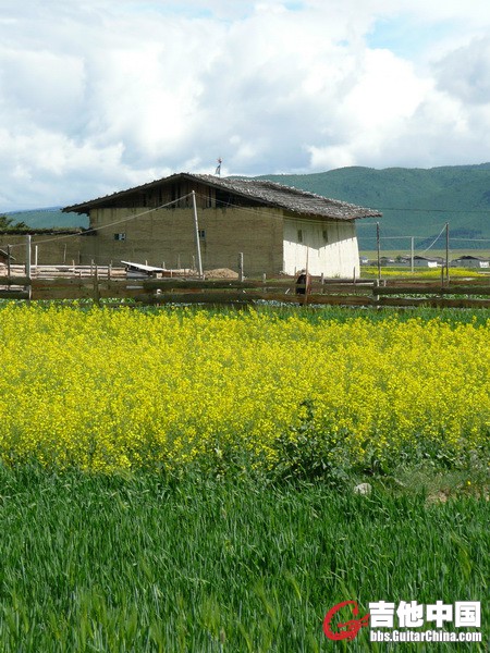 P1040794_调整大小.JPG
