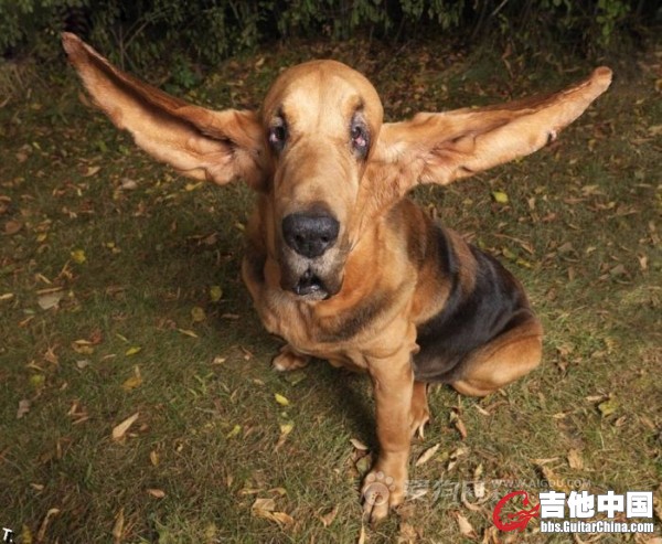 特像一个爵士鼓手，此鼓手参加过99爵士节