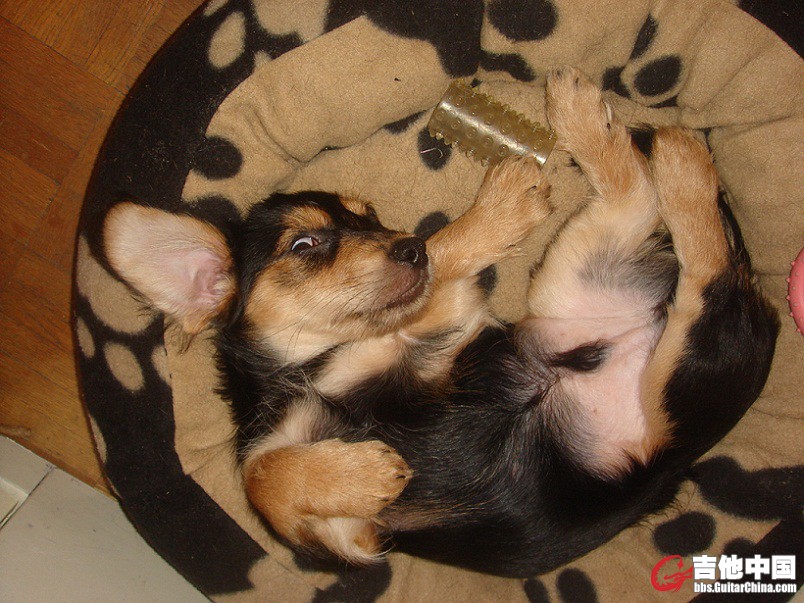 DSC03853.jpg