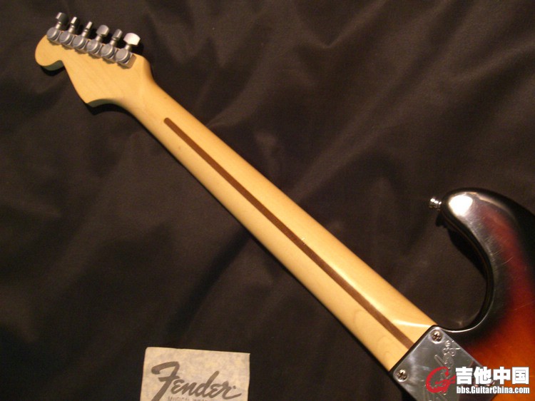 Fender USA  PLUS STRATO 010-7500 (9).jpg