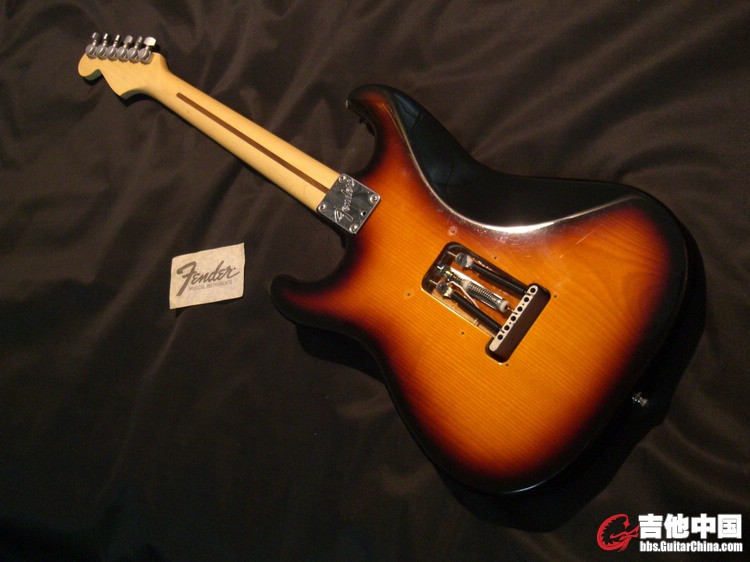 Fender USA  PLUS STRATO 010-7500 (1).jpg