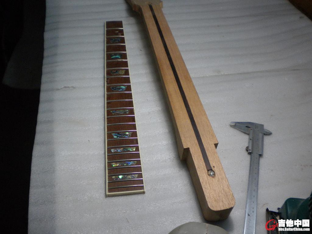 DSCN4246.jpg