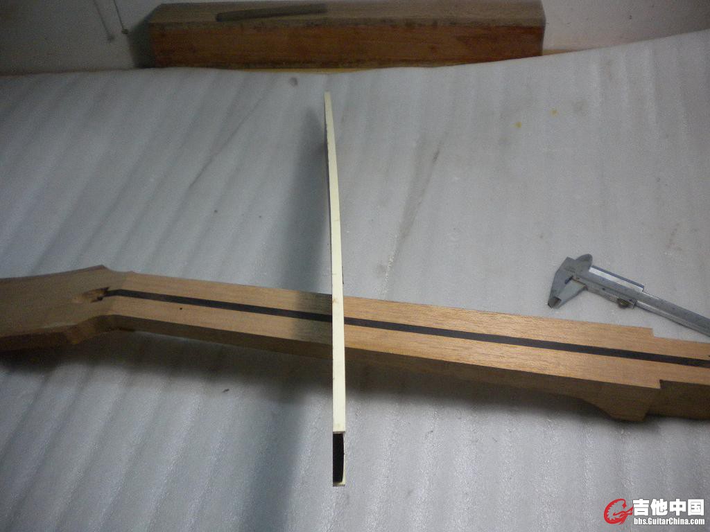 DSCN4247.jpg