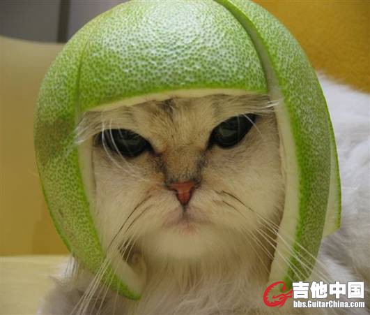 第一张