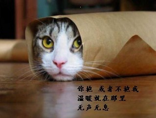 抱或不抱.jpg