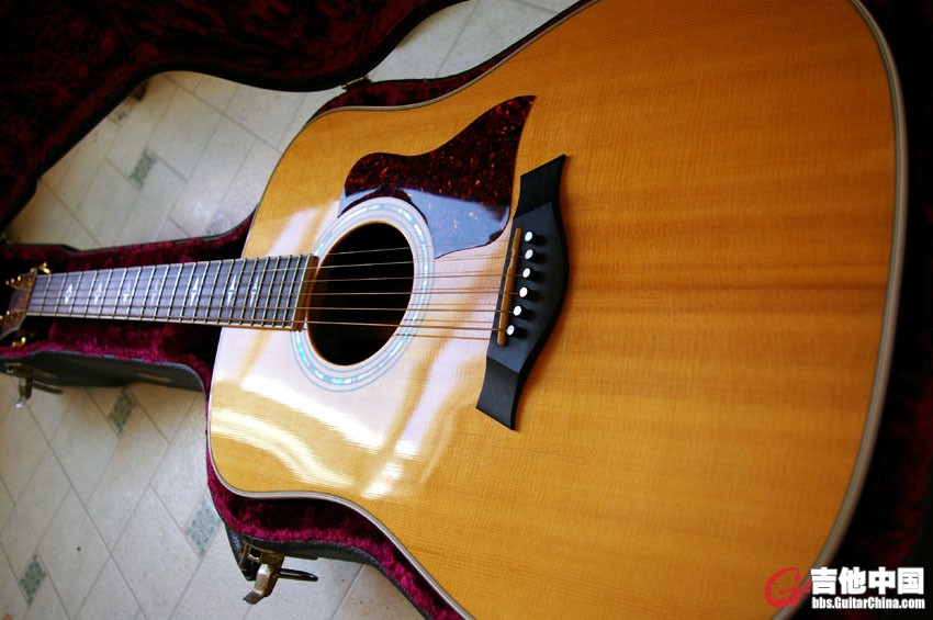 Taylor 810