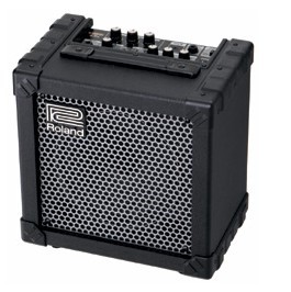 Roland cube 15.jpg