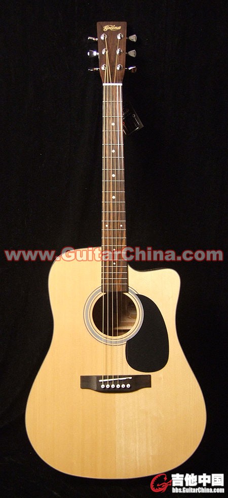 img.guitarchina.com__d100sc_01.jpg