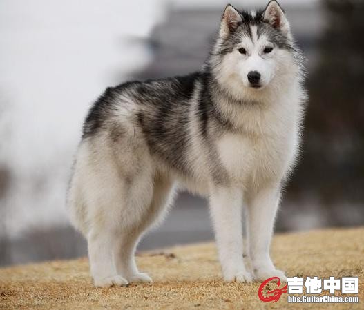 caae6809d5386e882eddd413.jpg