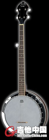 J&D Brothers Banjo bj-10.jpg