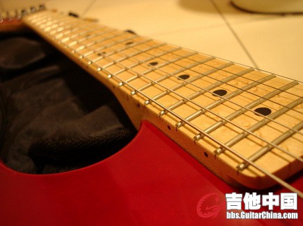 Warmoth Eddie Van Halen Birdseye Profile Maple Neck 整根雀眼枫木琴颈