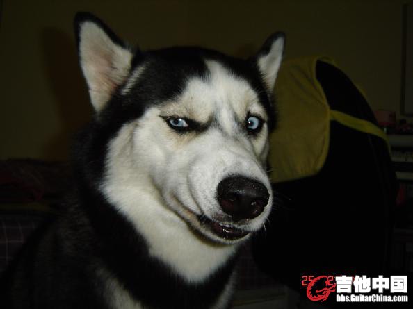 自曝.jpg