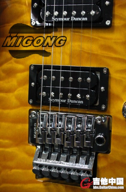 FGN EEL-QM-HH 双摇 金属 吉他