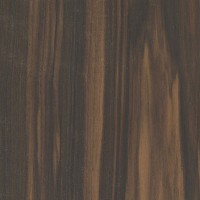 macassar ebony