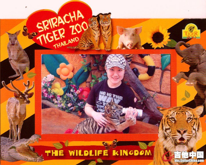 20.jpg