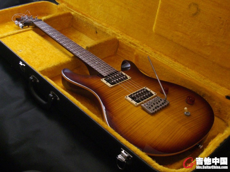 PRS SE CUSTOM 22.jpg