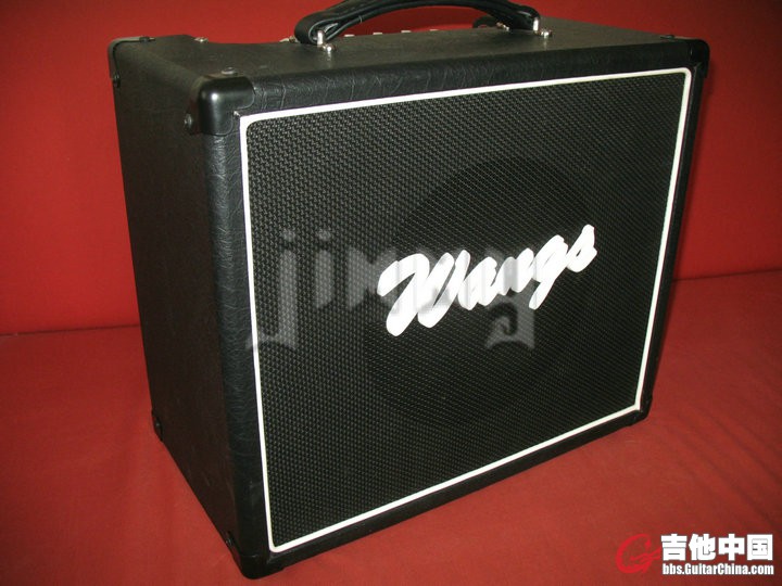 wangs vt-10  1.JPG