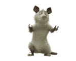 未命名.gif
