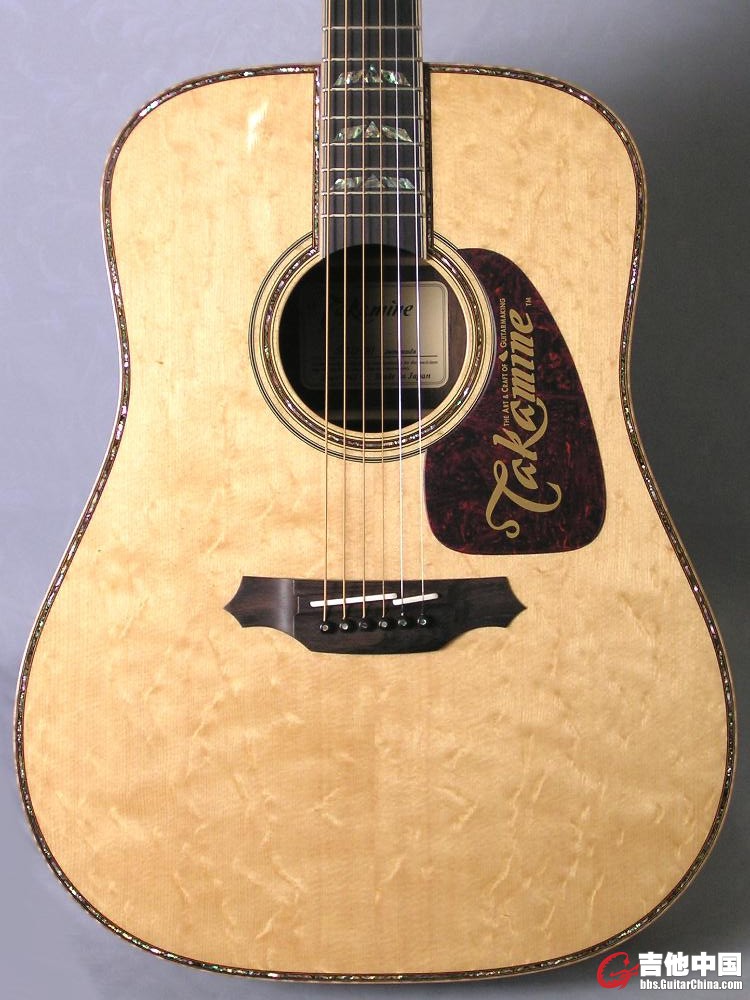 takamine_sad-90_new_top.jpg