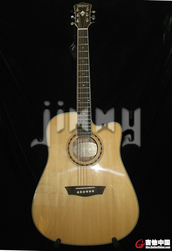 washburn wd10sce 1.JPG