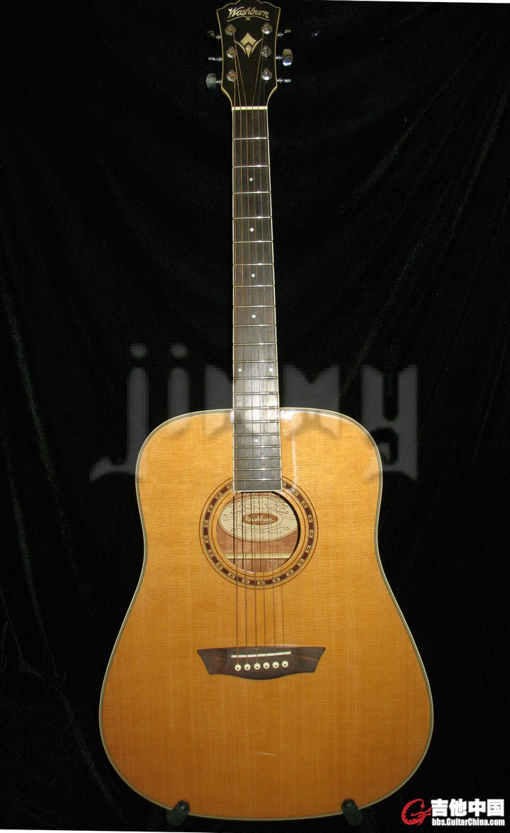 WASHBURN WD10 1.JPG