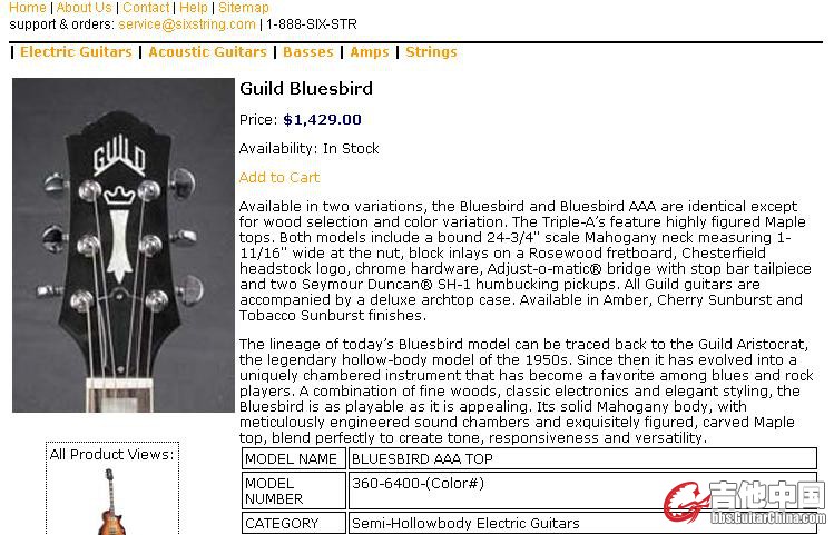 Guild Bluesbird.JPG