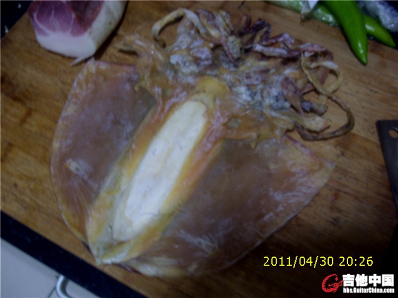 章鱼保罗.jpg