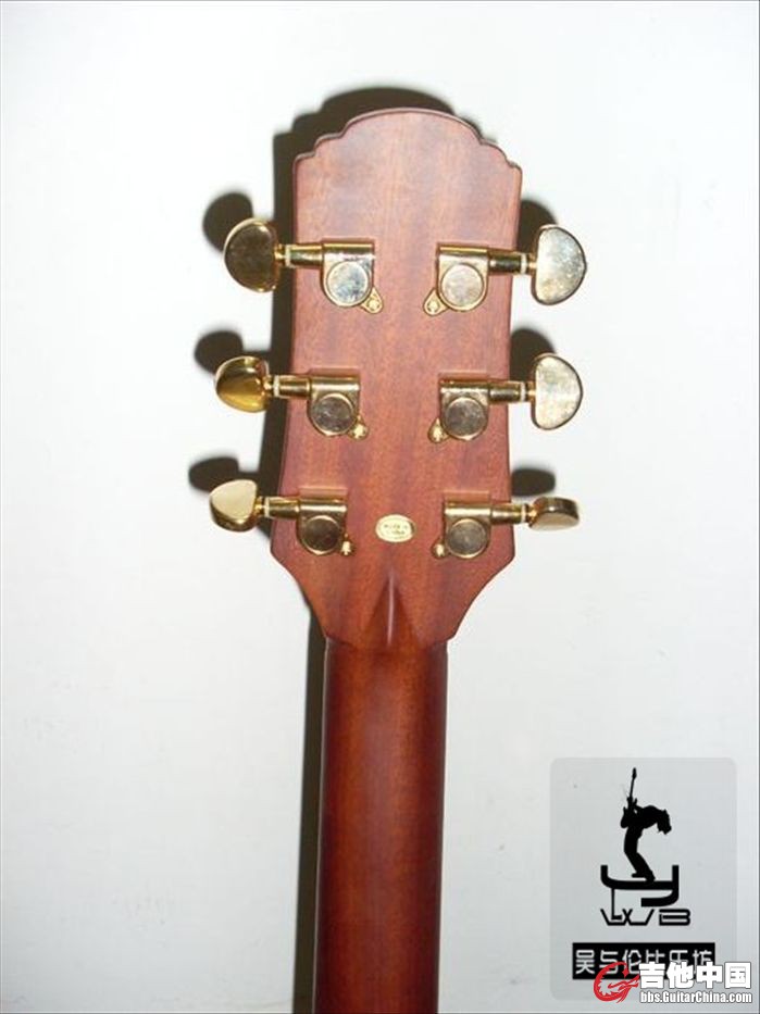 SL372080_conew1.jpg