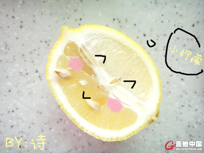 小柠檬.jpg