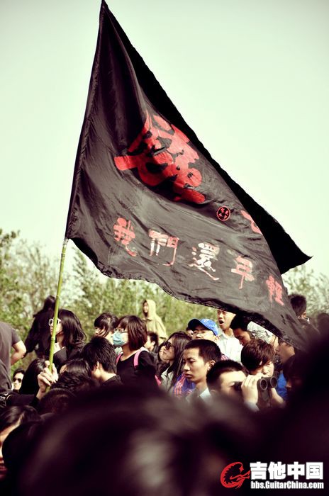 草莓花絮  (20).jpg