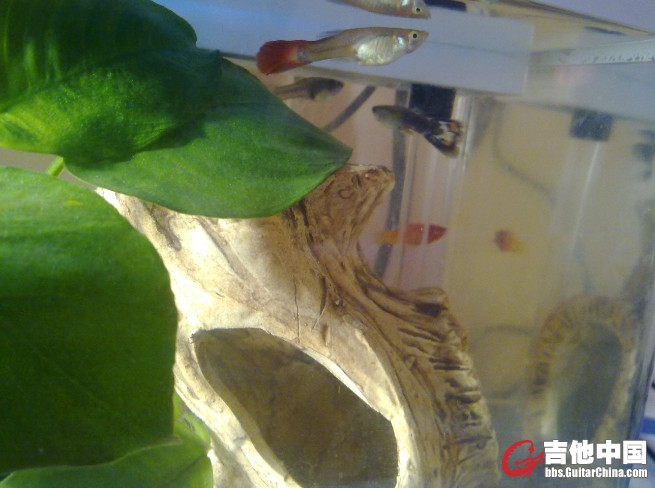 20110512100.jpg