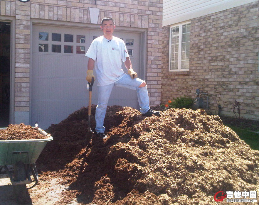 mulch.jpg