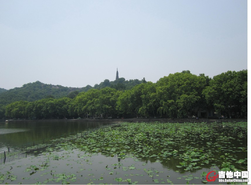 不是雷锋塔，什么塔忘了